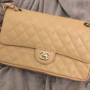 Chanel Nude Purse